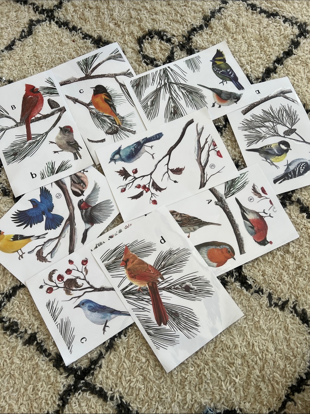 New Bird Illustration window Sticker Set - Multicolor - Picture 2 of 2